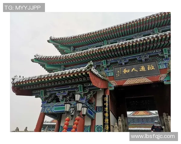 南京排球队在洲际杯中的团队协作表现值得称赞与反思