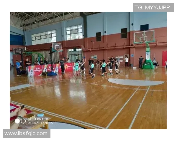 武汉篮球队区域防守分析：优劣势与改进策略探讨